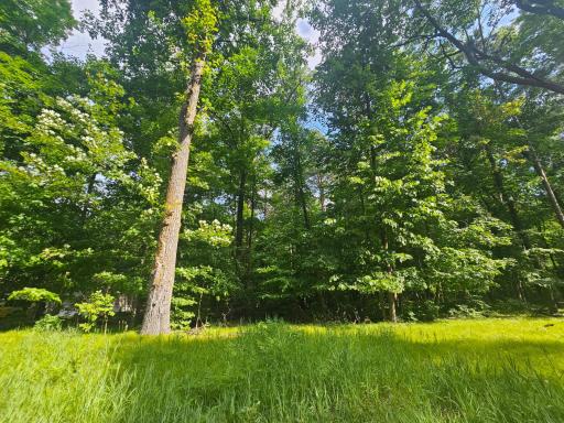 TBD Whitefish Avenue, Cross Lake, MN 56442