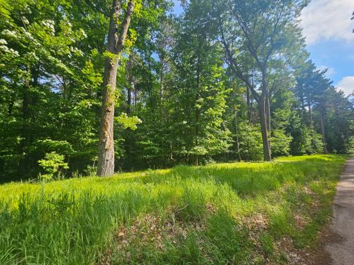 TBD Whitefish Avenue, Cross Lake, MN 56442