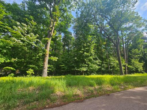 TBD Whitefish Avenue, Cross Lake, MN 56442