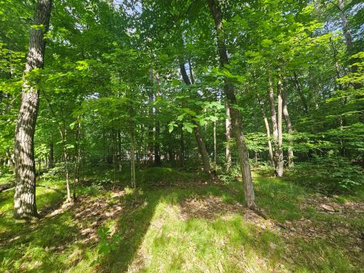 TBD Whitefish Avenue, Cross Lake, MN 56442