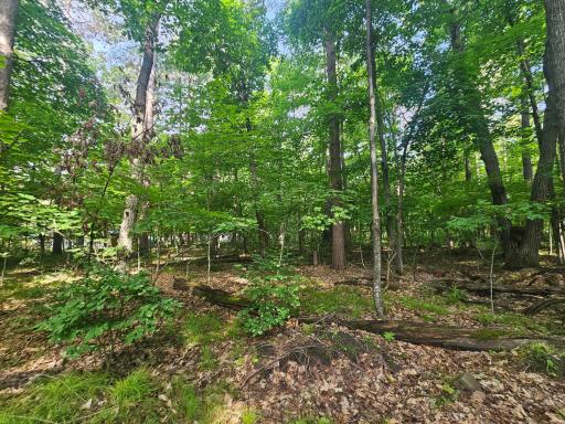 TBD Whitefish Avenue, Cross Lake, MN 56442