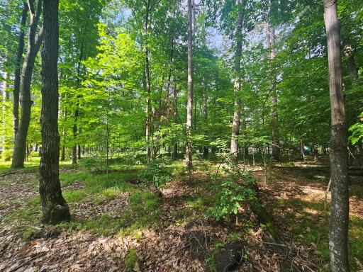 TBD Whitefish Avenue, Cross Lake, MN 56442