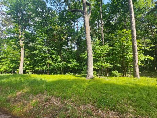 TBD Whitefish Avenue, Cross Lake, MN 56442