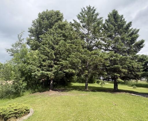 2700 S Lake Jessie Road SE, Alexandria, MN 56308