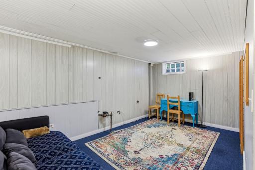 Finished family room/flex place in the lower level. Could be a third bedroom with an egress window.
