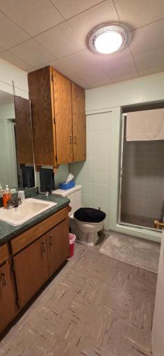 Lower level 3/4 bath
