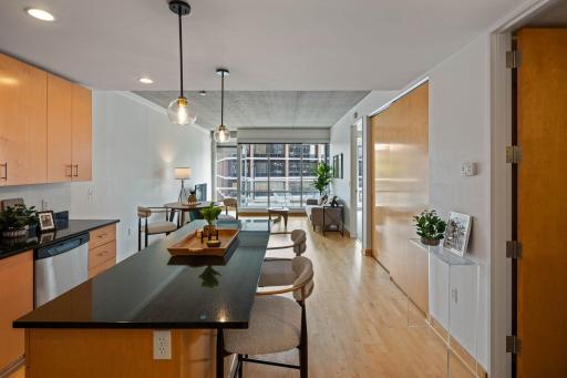 45 University Avenue SE, 313, Minneapolis, MN 55414