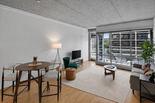 45 University Avenue SE, 313, Minneapolis, MN 55414