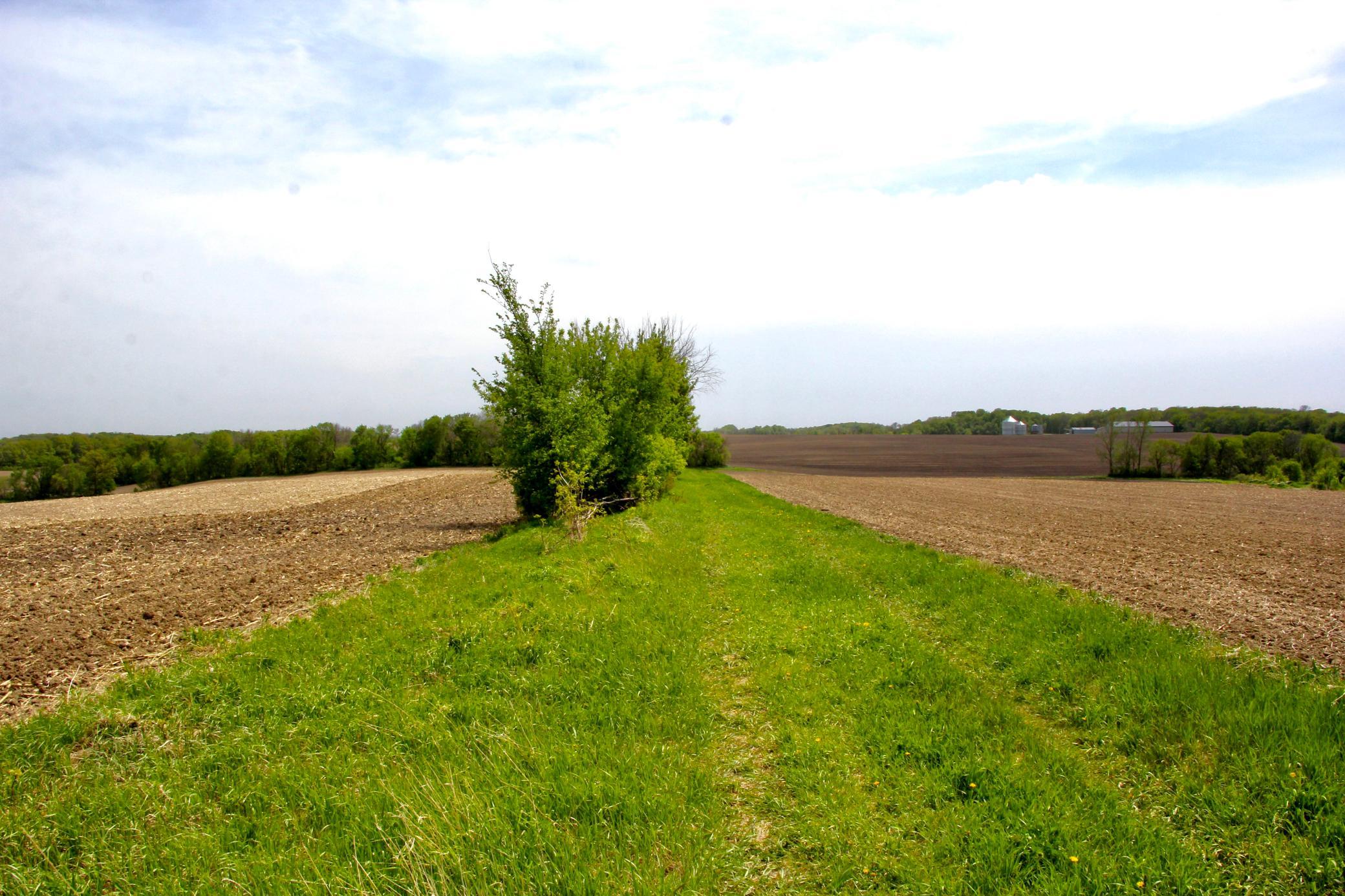 Pic 11 west access road .JPG