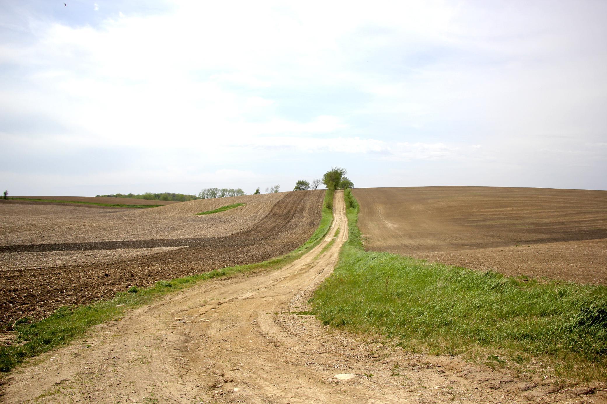 Pic 10 north access road .JPG