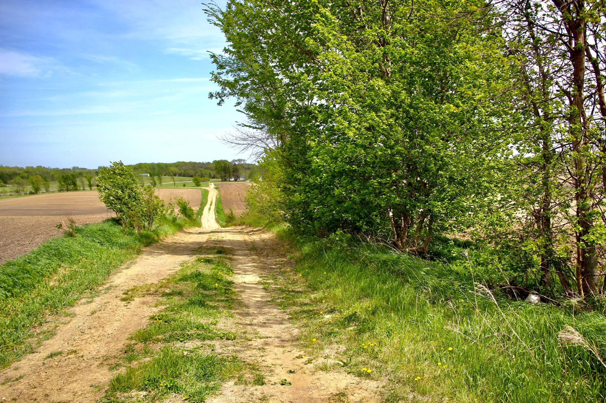 Pic 9 Access Road .JPG