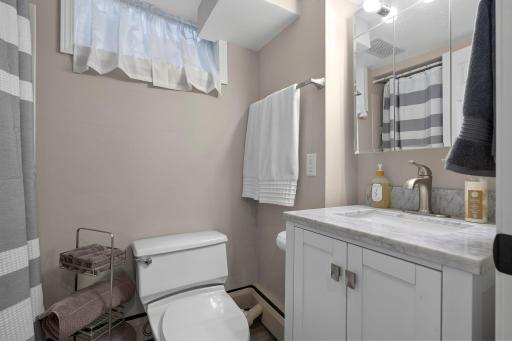 Lower level apartment suite full bathroom