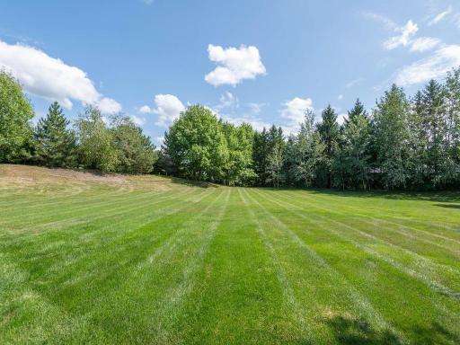Back yard!