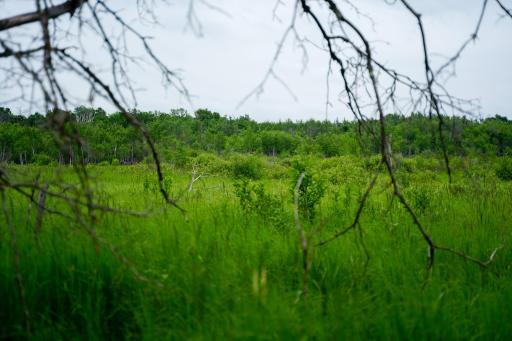 25820 County Road 26, Sebeka, MN 56477