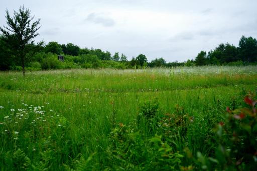 25820 County Road 26, Sebeka, MN 56477