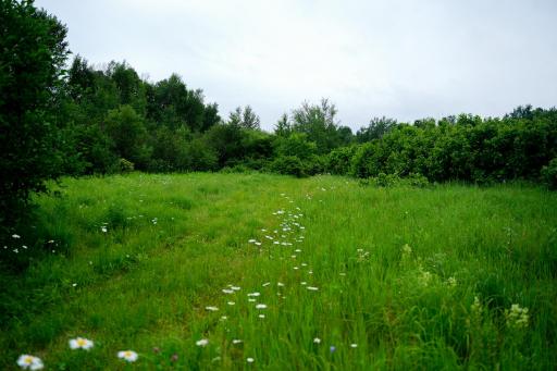 25820 County Road 26, Sebeka, MN 56477