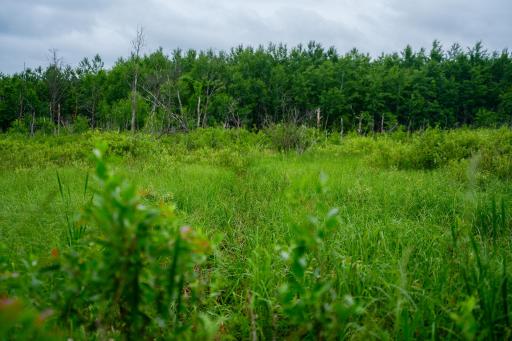 25820 County Road 26, Sebeka, MN 56477
