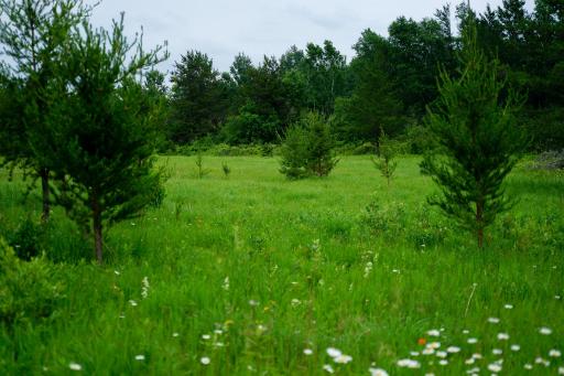 25820 County Road 26, Sebeka, MN 56477