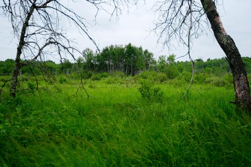 25820 County Road 26, Sebeka, MN 56477