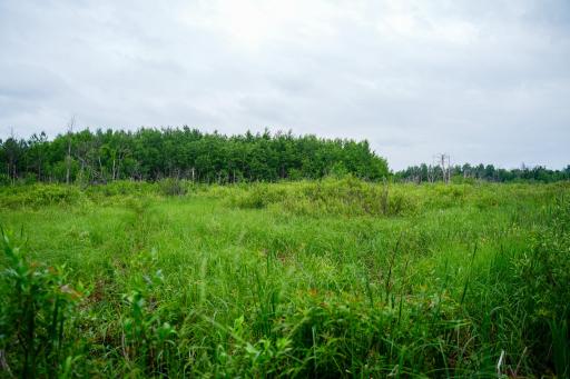 25820 County Road 26, Sebeka, MN 56477
