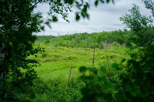 25820 County Road 26, Sebeka, MN 56477