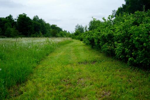 25820 County Road 26, Sebeka, MN 56477
