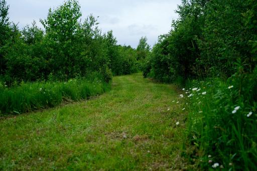 25820 County Road 26, Sebeka, MN 56477
