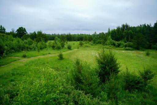 25820 County Road 26, Sebeka, MN 56477