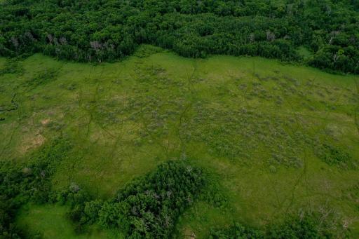 25820 County Road 26, Sebeka, MN 56477