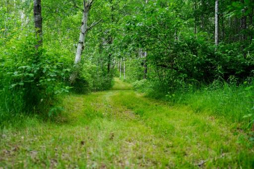 25820 County Road 26, Sebeka, MN 56477