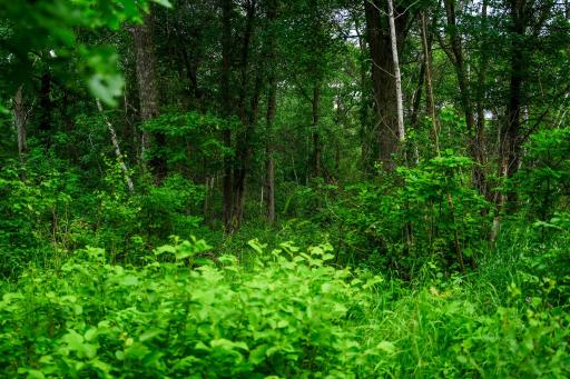 25820 County Road 26, Sebeka, MN 56477