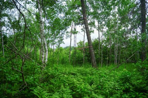25820 County Road 26, Sebeka, MN 56477