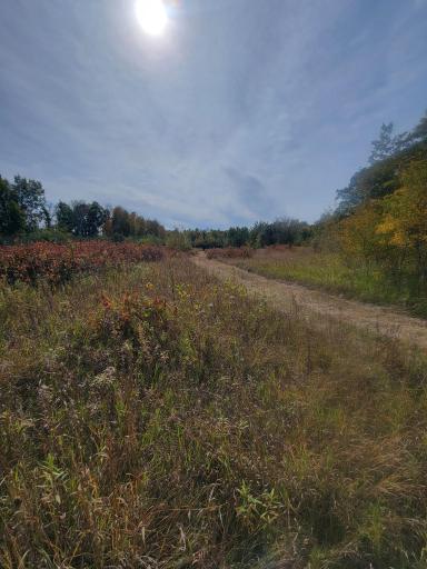 25820 County Road 26, Sebeka, MN 56477