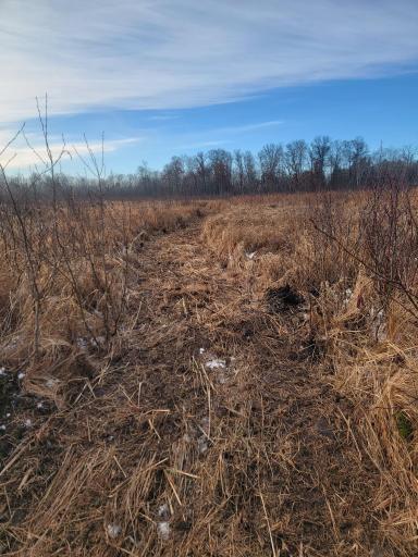 25820 County Road 26, Sebeka, MN 56477