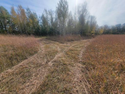 25820 County Road 26, Sebeka, MN 56477