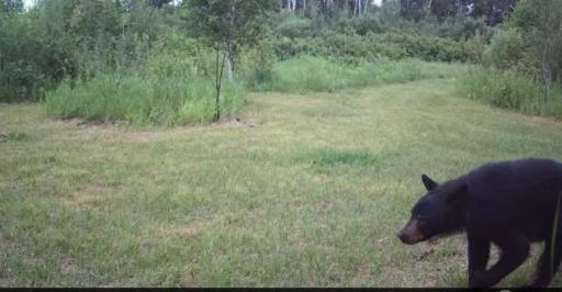 25820 County Road 26, Sebeka, MN 56477