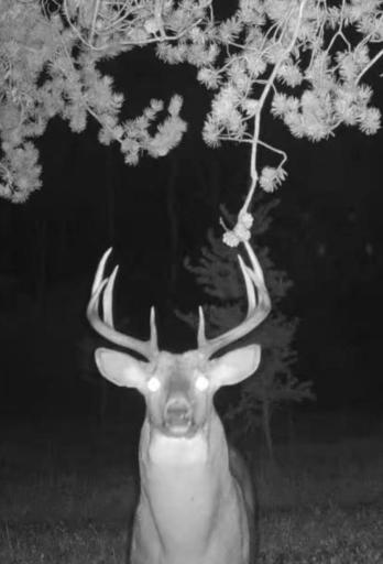 25820 County Road 26, Sebeka, MN 56477