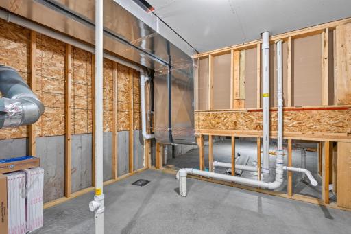 Future Lower Level 3/4 Bath (and peak of the under house storage)