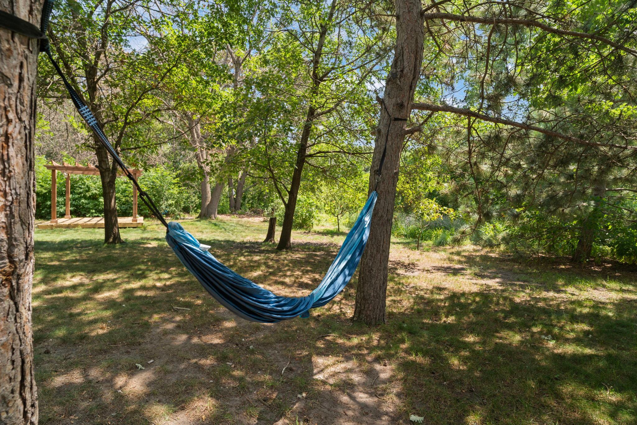 A private backyard retreat with mature trees, open lawn space, and plenty of room to relax or play.