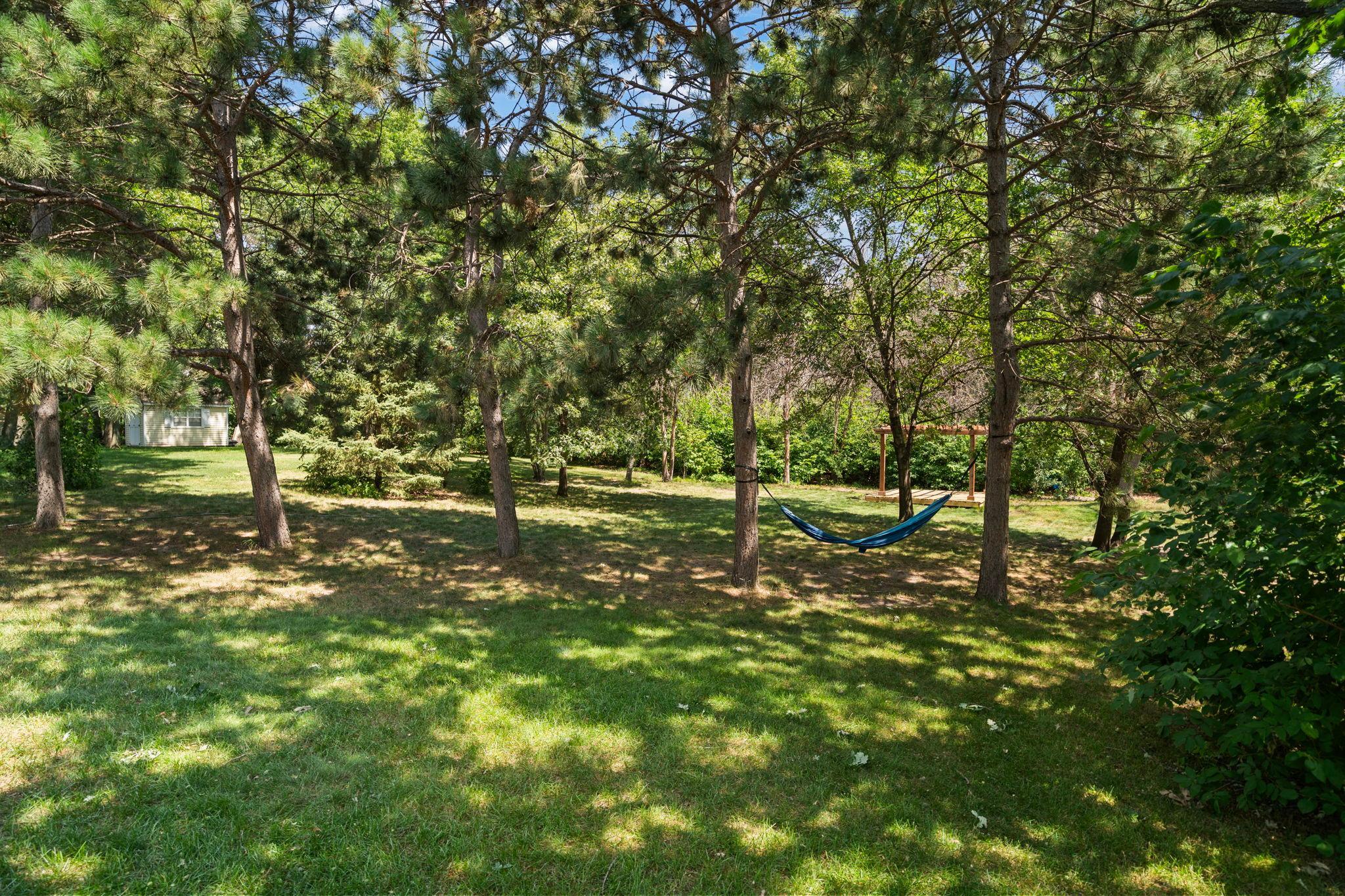 A private backyard retreat with mature trees, open lawn space, and plenty of room to relax or play.