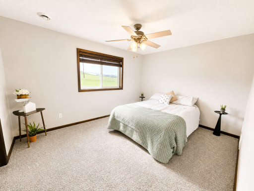 906 7th Avenue, Wanamingo, MN 55983
