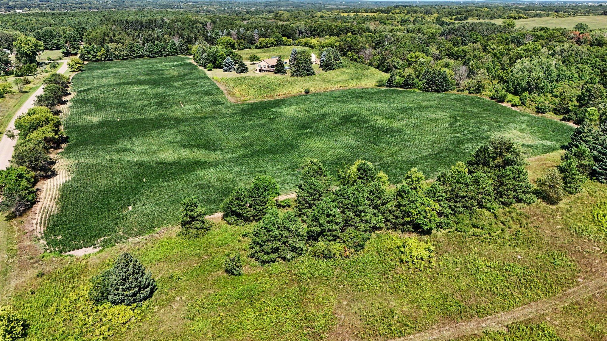 Property ends just beyond the tree line