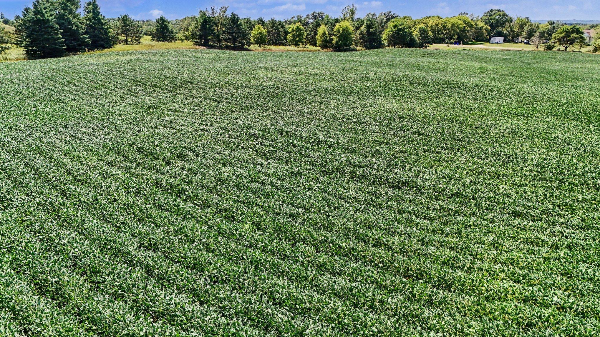 Rolling fields
