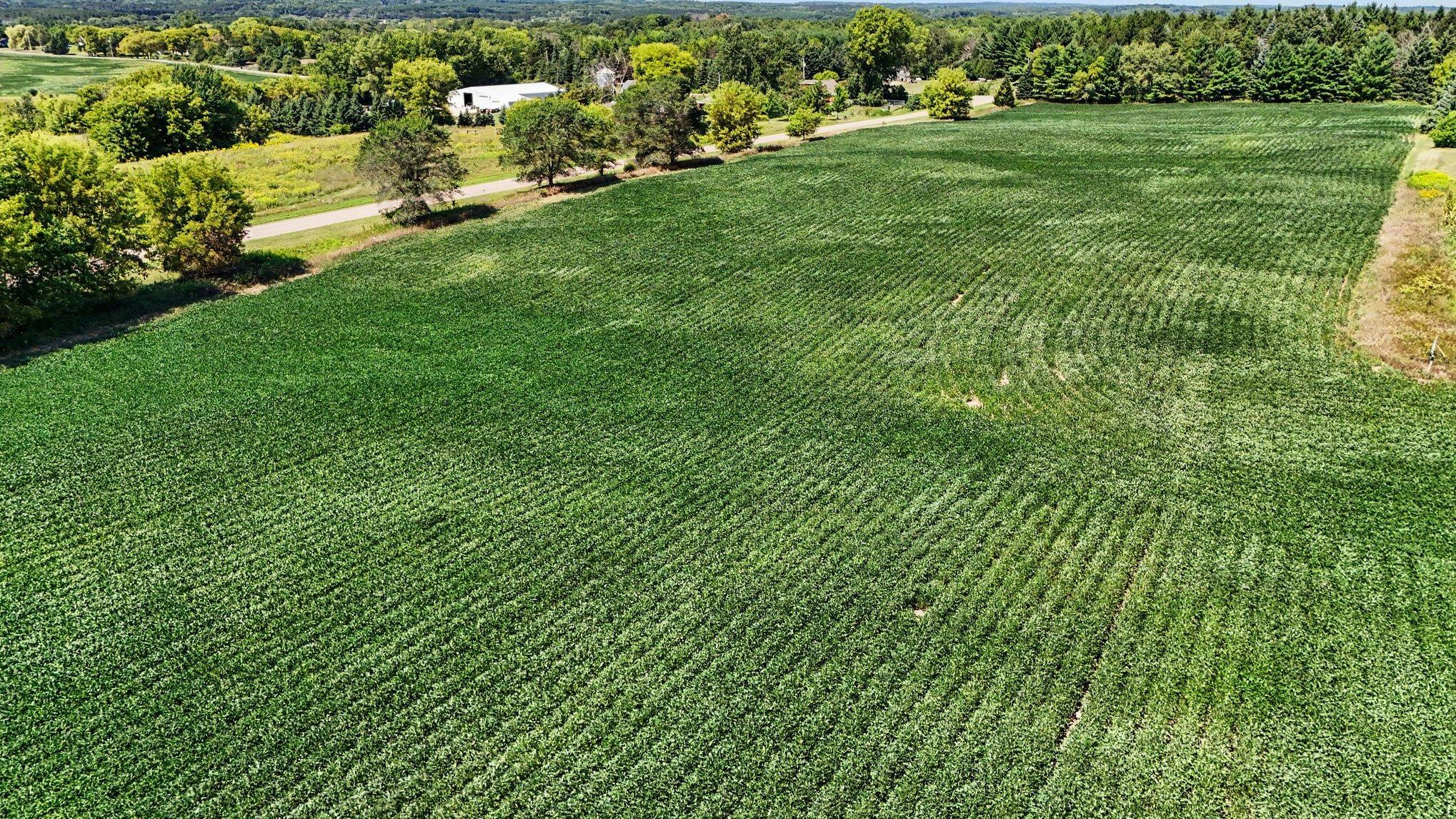 14.1 acre parcel
