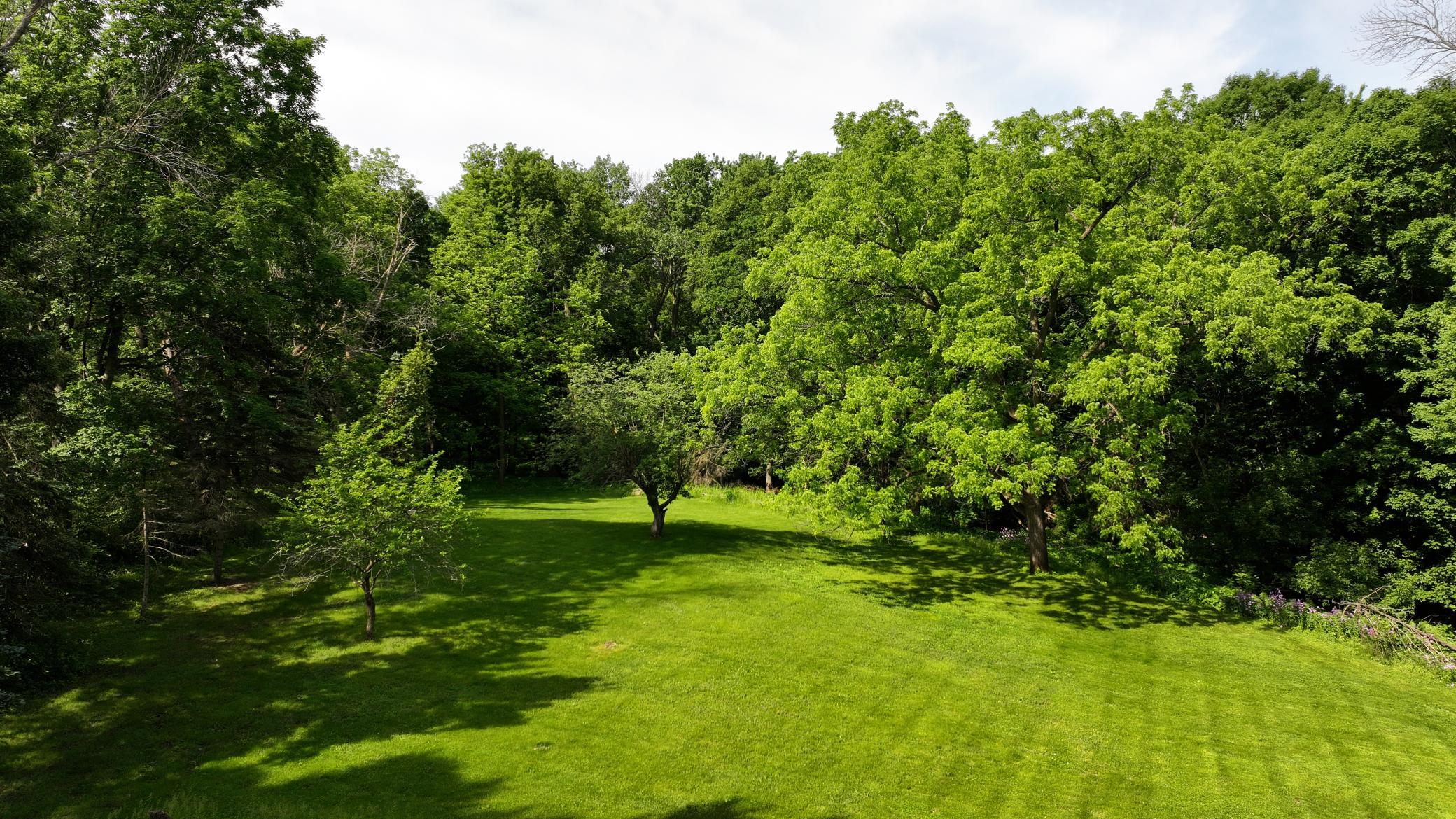 Large Private Lot