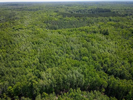 Parcel 6 County Road A, Solon Springs, WI 54873