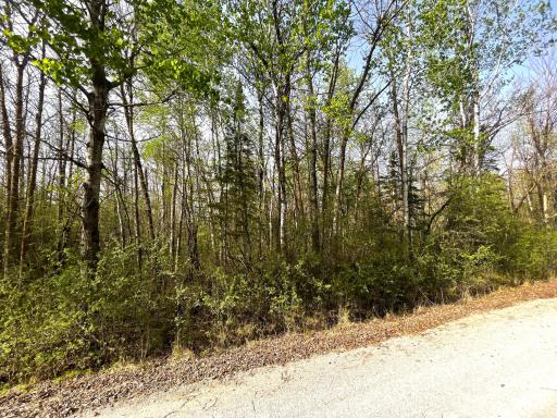 South Side of Property