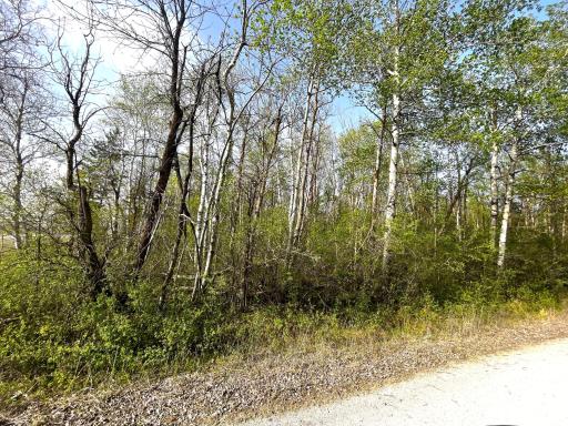 South Side of Property