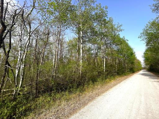 South Side of Property down Private Road