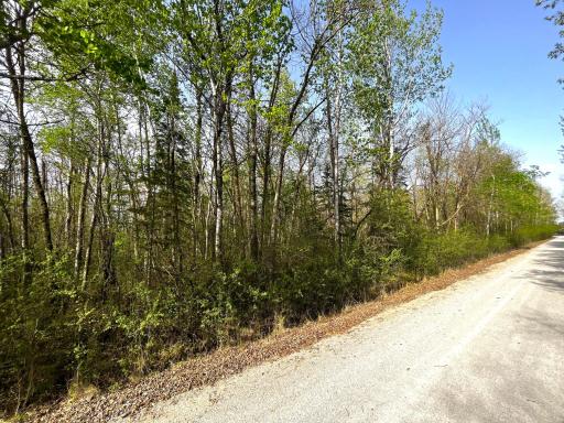 South Side of Property down Private Road